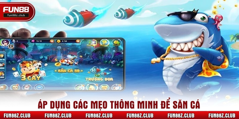 Áp dụng các mẹo thông minh để săn cá
